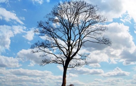 Prognoza meteo pentru weekend: Ce temperaturi se vor inregistra