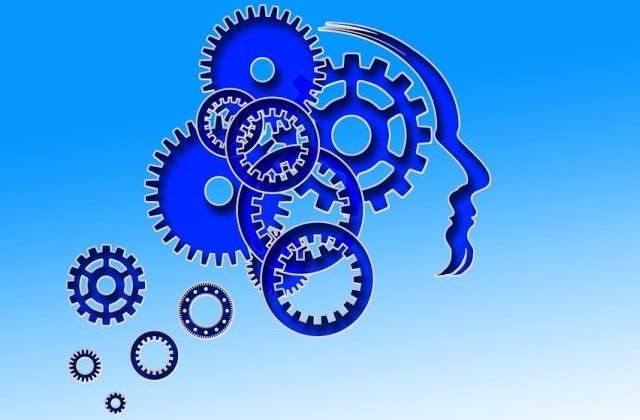 Ce se intampla in creier cand obiceiurile controleaza comportamentul unui om