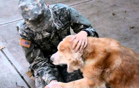 Reactia unui caine atunci cand stapanul sau se intoarce din misiune