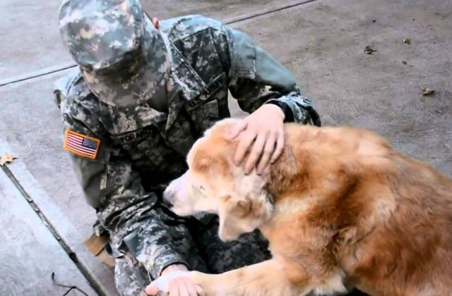 [VIDEO] Reactia adorabila a unui caine atunci cand stapanul sau se intoarce din misiune