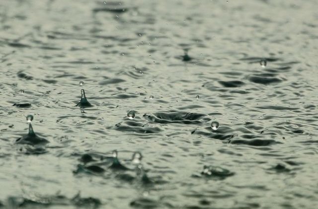 Motivul pentru care aerul de dupa ploaie miroase atat de proaspat