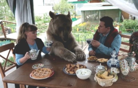 Acum 23 de ani, un cuplu a adoptat un ursulet. Cum arata azi