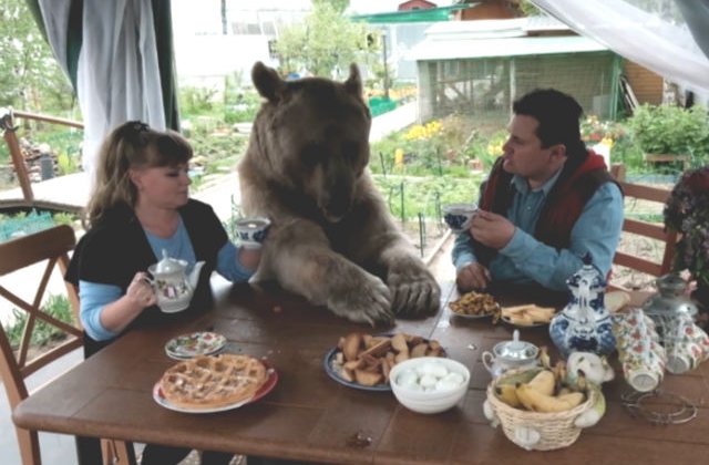 [VIDEO] Acum 23 de ani, acest cuplu a adoptat un ursulet. Cum arata acum