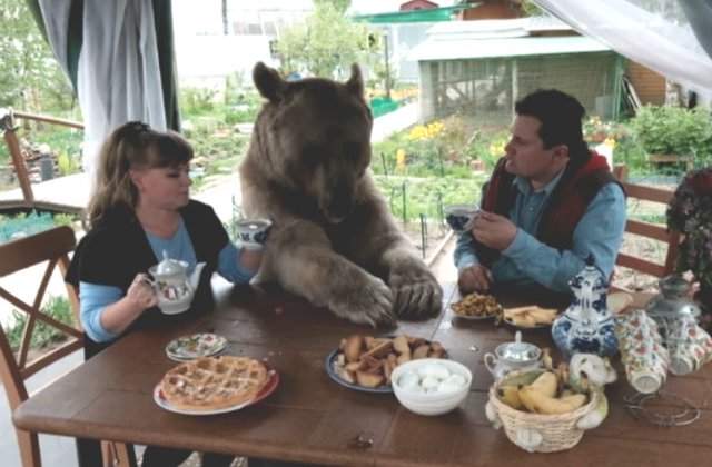 [VIDEO] Acum 23 de ani, acest cuplu a adoptat un ursulet. Cum arata acum