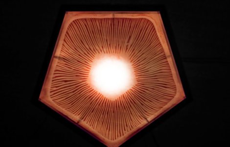 Fangai, cea mai noua si inovatoare instalatie de sunet si lumina din Romania