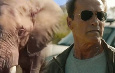 Arnold Schwarzenegger, la un pas de a fi atacat de un elefant