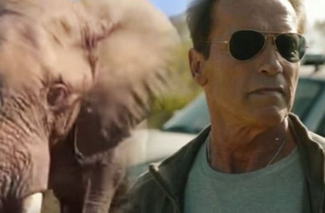 Arnold Schwarzenegger, la un pas de a fi atacat de un elefant