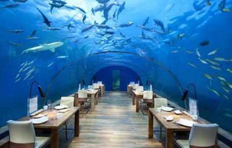  Top  Vacanta in adancuri: 7 hoteluri subacvatice care iti taie rasuflarea