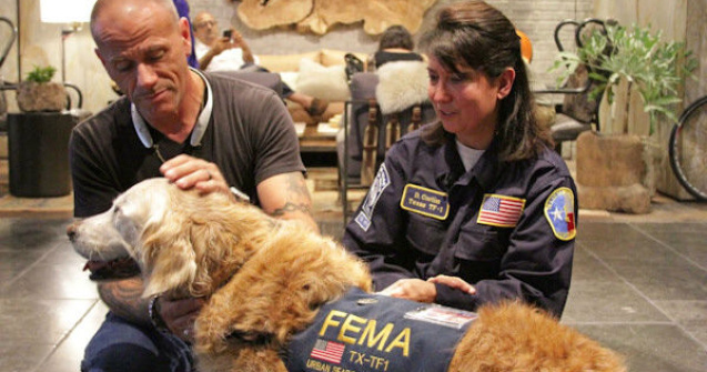 Ultimul caine-erou din 11 septembrie 2001, eutanasiat