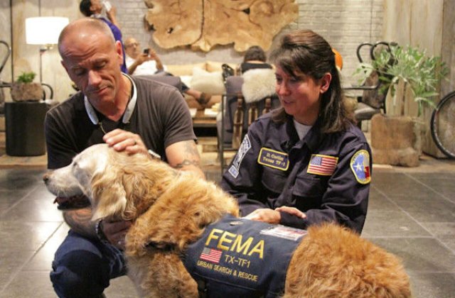 Ultimul caine-erou din 11 septembrie 2001, eutanasiat