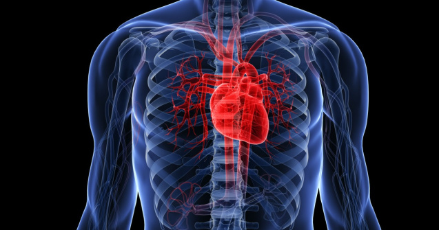 Cum a trait un barbat 17 luni fara inima