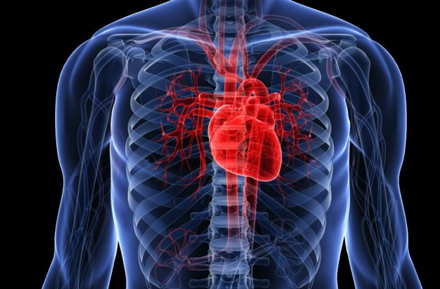 Cum a trait un barbat 17 luni fara inima