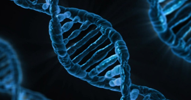 Studiu: Suntem mai diversi decat credem. ADN-ul clarifica originile noastre mixte