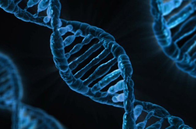 Studiu: Suntem mai diversi decat credem. ADN-ul clarifica originile noastre mixte