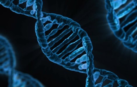 Studiu: Suntem mai diversi decat credem. ADN-ul clarifica originile noastre mixte