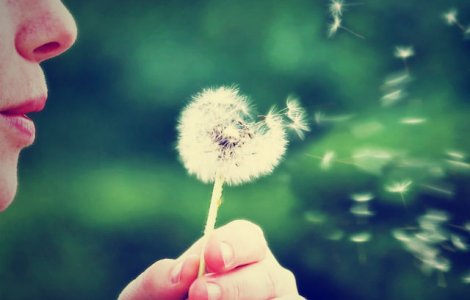  Top  Alergiile sezoniere: 7 trucuri pentru a ameliora simptomele