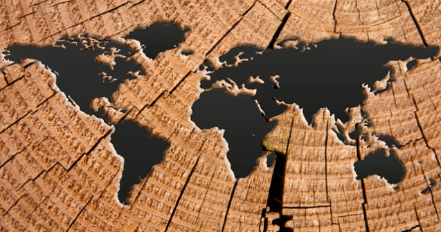  Video  Care sunt cele mai vorbite limbi din lume