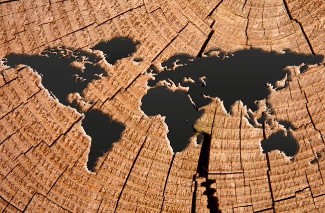 [Video] Care sunt cele mai vorbite limbi din lume