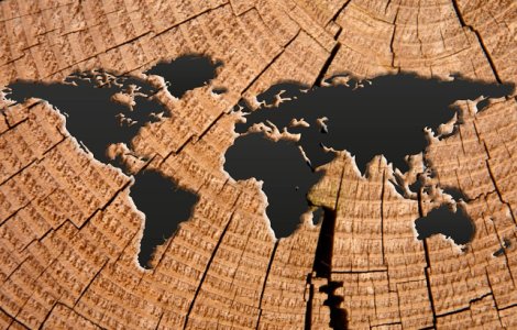  Video  Care sunt cele mai vorbite limbi din lume