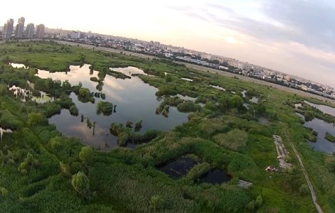  Foto  Jurnalisti britanici, impresionati de "Delta din Bucuresti"