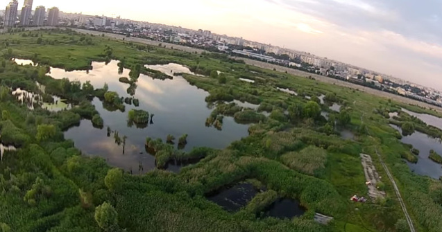 Foto  Jurnalisti britanici, impresionati de "Delta din Bucuresti"