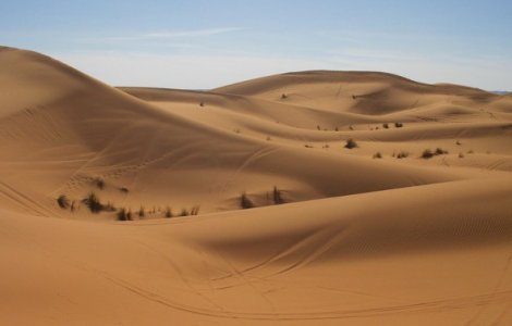 Niger: Cel putin 34 de cadavre ale unor imigranti, gasite in desert