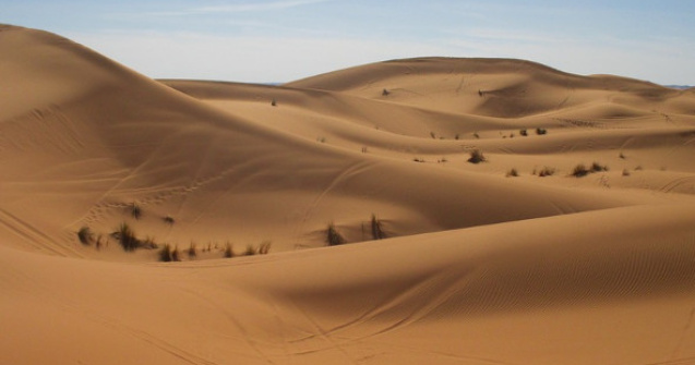 Niger: Cel putin 34 de cadavre ale unor imigranti, gasite in desert