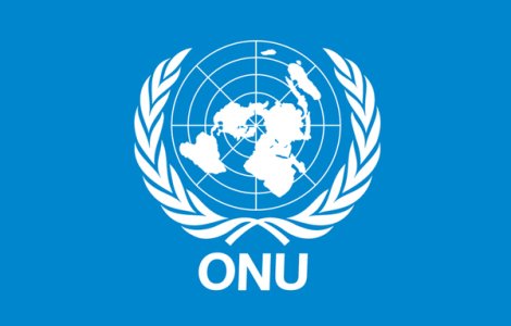 ONU a publicat ghidul lenesului pentru salvarea planetei