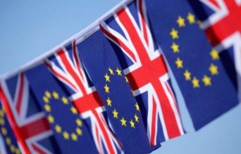 Principalele teme ale campaniei pentru referendumul din Marea Britanie