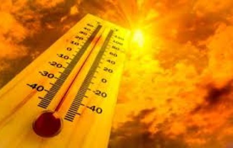 Trei zile de cod galben de canicula