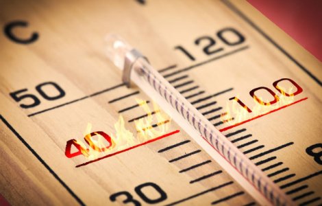 Ce se intampla in corpul tau atunci cand este canicula