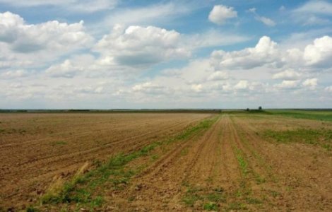 Ungaria pedepseste cu puscarie vanzarea terenului agricol strainilor