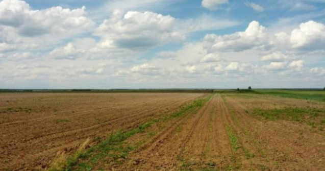 Ungaria pedepseste cu puscarie vanzarea terenului agricol strainilor