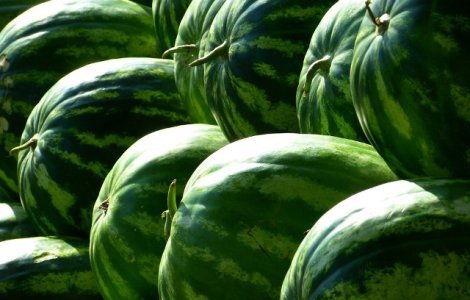 Modalitatea prin care poti recunoaste pepenii rosii "injectati"