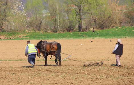 Guvernul Ciolos reduce drastic TVA-ul in agricultura
