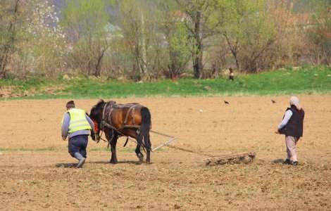 Guvernul Ciolos reduce drastic TVA-ul in agricultura