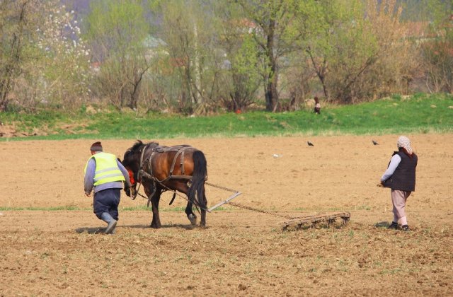 Guvernul Ciolos reduce drastic TVA-ul in agricultura