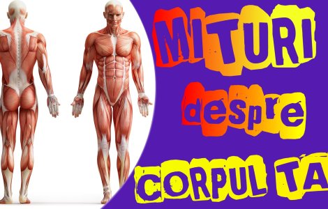  Top  Mituri despre corpul uman pe care ar trebui sa incetam a le mai crede
