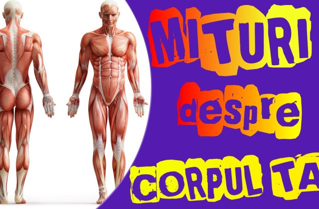 Mituri despre corpul uman pe care ar trebui sa incetam sa le mai credem