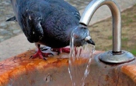 Scapam de ploi, dar se intoarce arsita