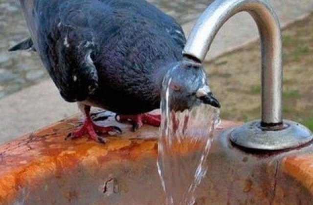 Scapam de ploi, dar se intoarce arsita