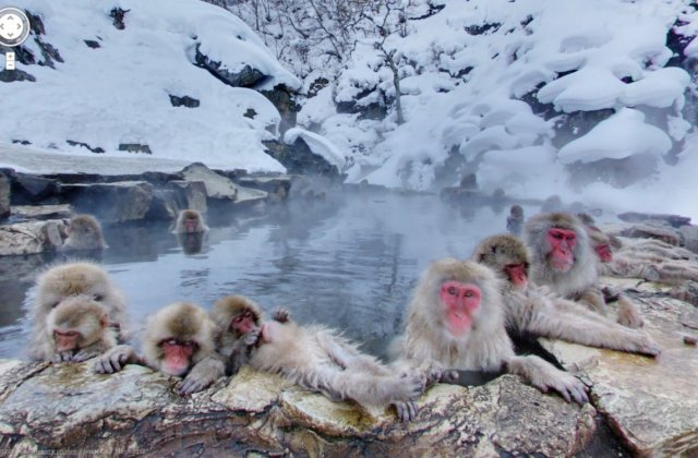 Imagini superbe surprinse in Google Street View