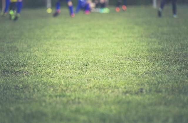 EURO 2016: Germania invinge Italia si se califica in semifinale