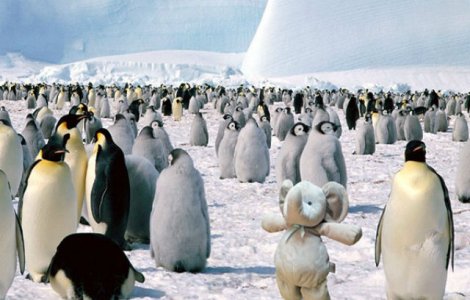 Acest baietel si-a pierdut jucaria preferata. Ce au facut parintii