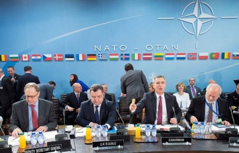  Top   Top  Primele cinci mituri ale propagandei ruse despre NATO