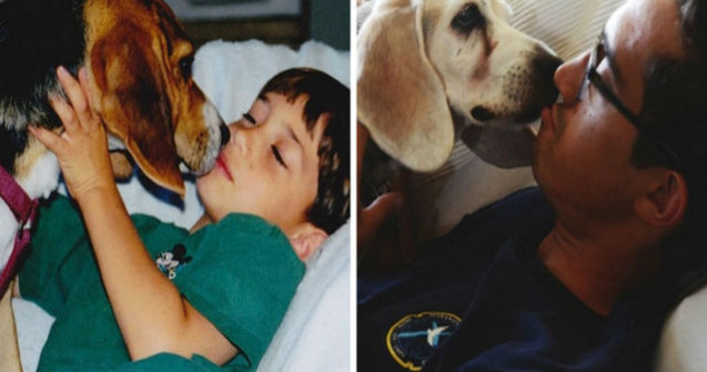  Top  Prima & ultima fotografie: 10 animale de companie care te vor emotiona