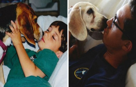  Top  Prima & ultima fotografie: 10 animale de companie care te vor emotiona