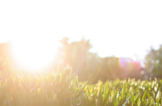Meteo: Se incalzeste din nou. Temperaturile ajung in weekend aproape de pragul caniculei