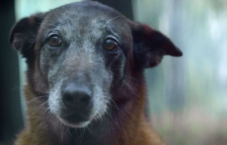 Iti da de gandit: nimeni nu ar trebui sa treaca prin asta.