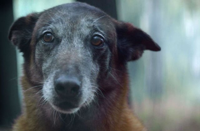 [VIDEO] Nimeni nu ar trebui sa treaca prin asta. Clipul care te va pune pe ganduri